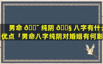 男命 🐯 纯阴 🐧 八字有什么优点「男命八字纯阴对婚姻有何影响」